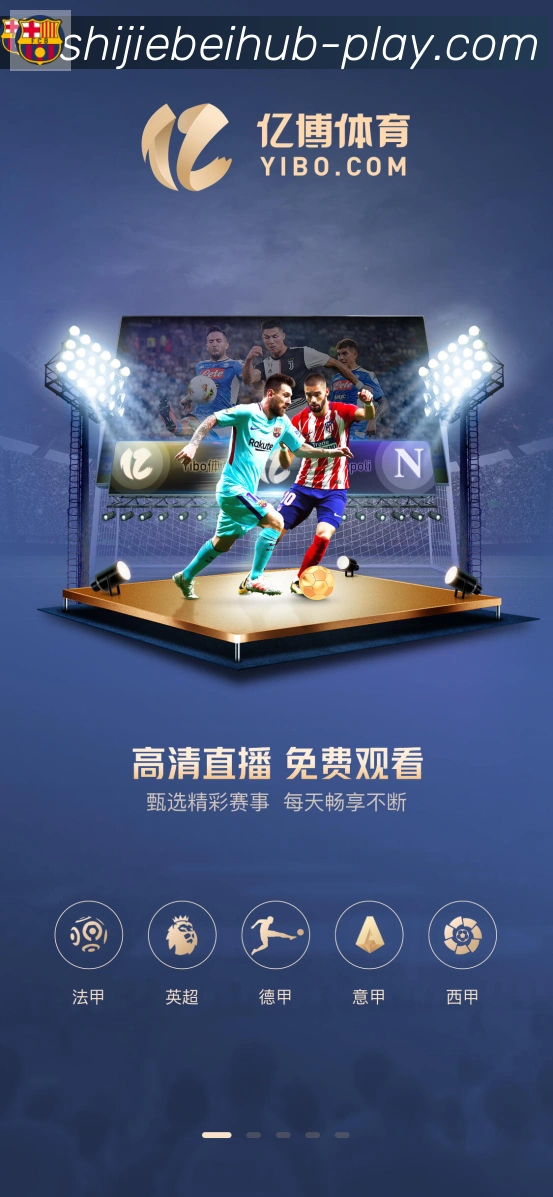 世界杯赛事官方网站平台生态图