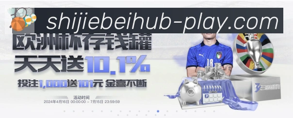 未来规划